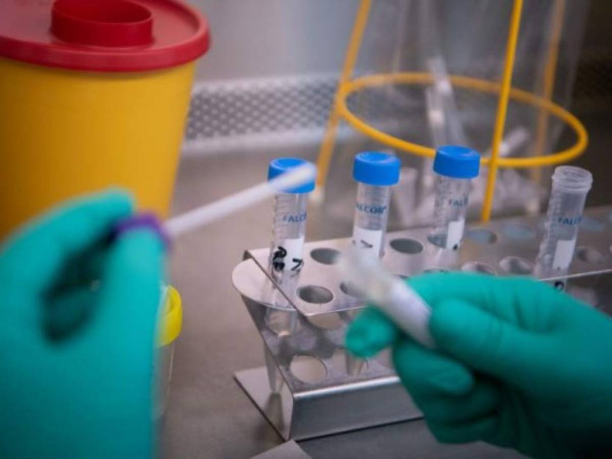 Al menos 15 países han reportado infecciones, incluido el primer caso en India. Al menos 15 países han reportado infecciones, incluido el primer caso en India.