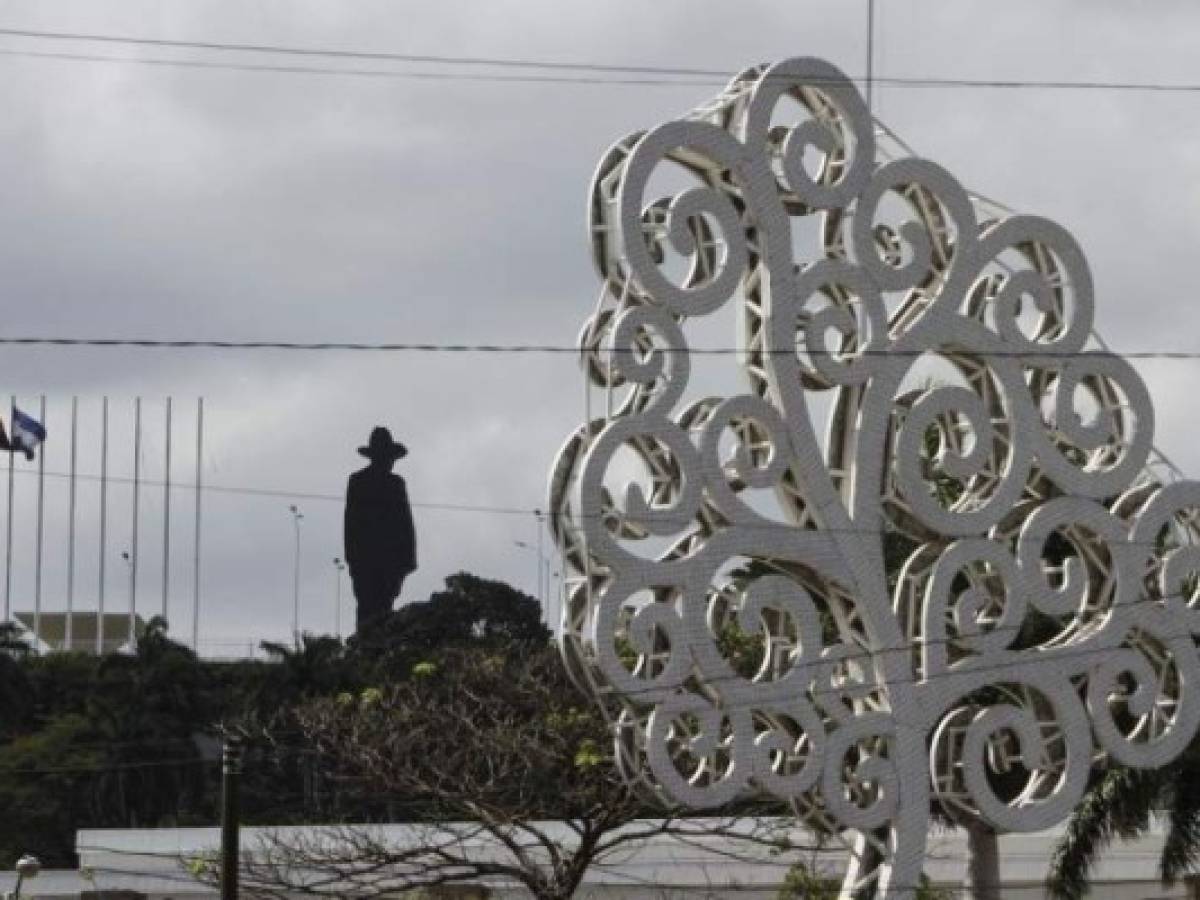 La silueta de Augusto Sandono contrasta con los árboles de la vida. Se estima que cada árbol cuesta unos US$25.000.