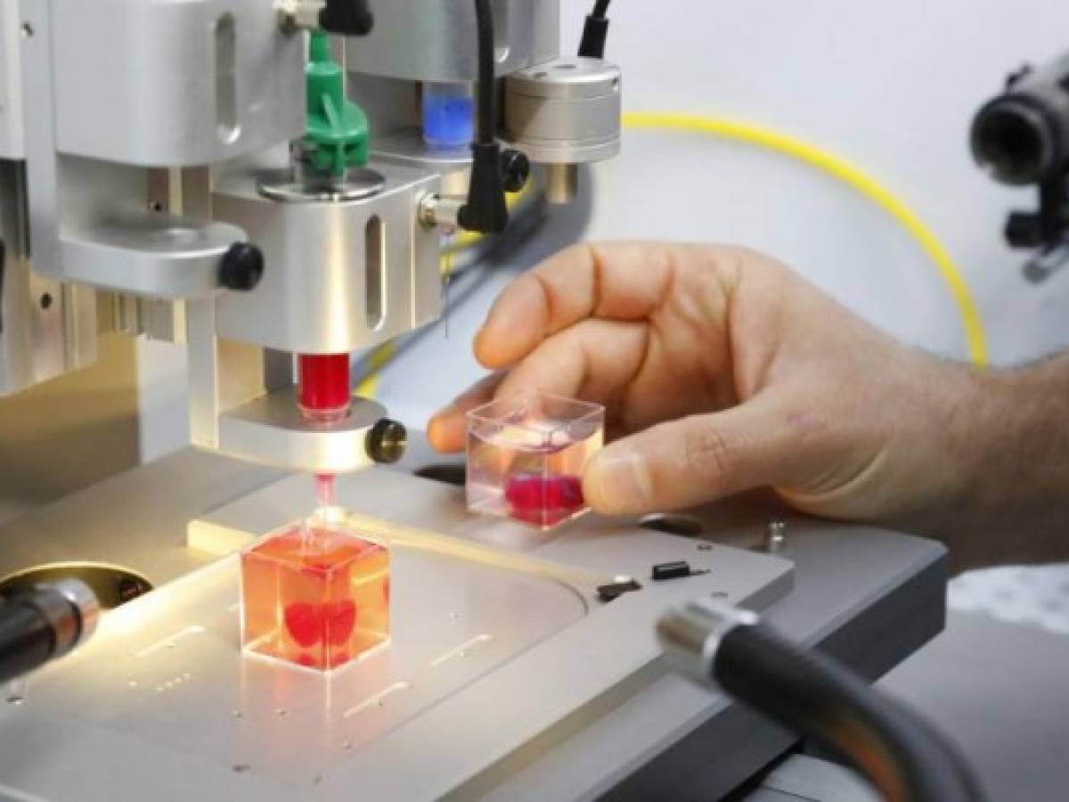This photo taken on April 15, 2019 at the University of Tel Aviv shows a 3D print of heart with human tissue. - Scientists in Israel on Monday unveiled a 3D print of a heart with human tissue and vessels, calling it a first and a 'major medical breakthrough' that advances possibilities for transplants. (Photo by JACK GUEZ / AFP) This photo taken on April 15, 2019 at the University of Tel Aviv shows a 3D print of heart with human tissue. - Scientists in Israel on Monday unveiled a 3D print of a heart with human tissue and vessels, calling it a first and a 'major medical breakthrough' that advances possibilities for transplants. (Photo by JACK GUEZ / AFP)