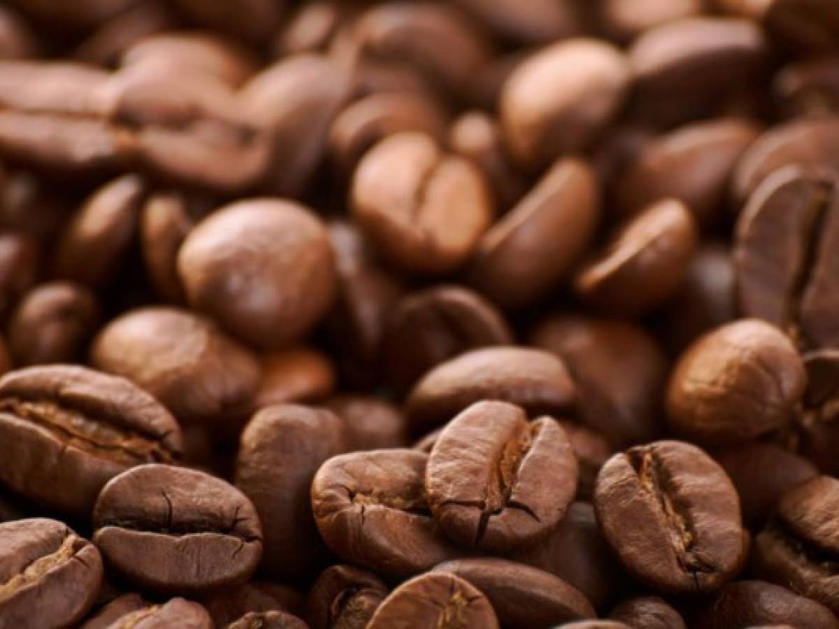 Honduras: ingresos por exportaciones de café bajan 20,16%