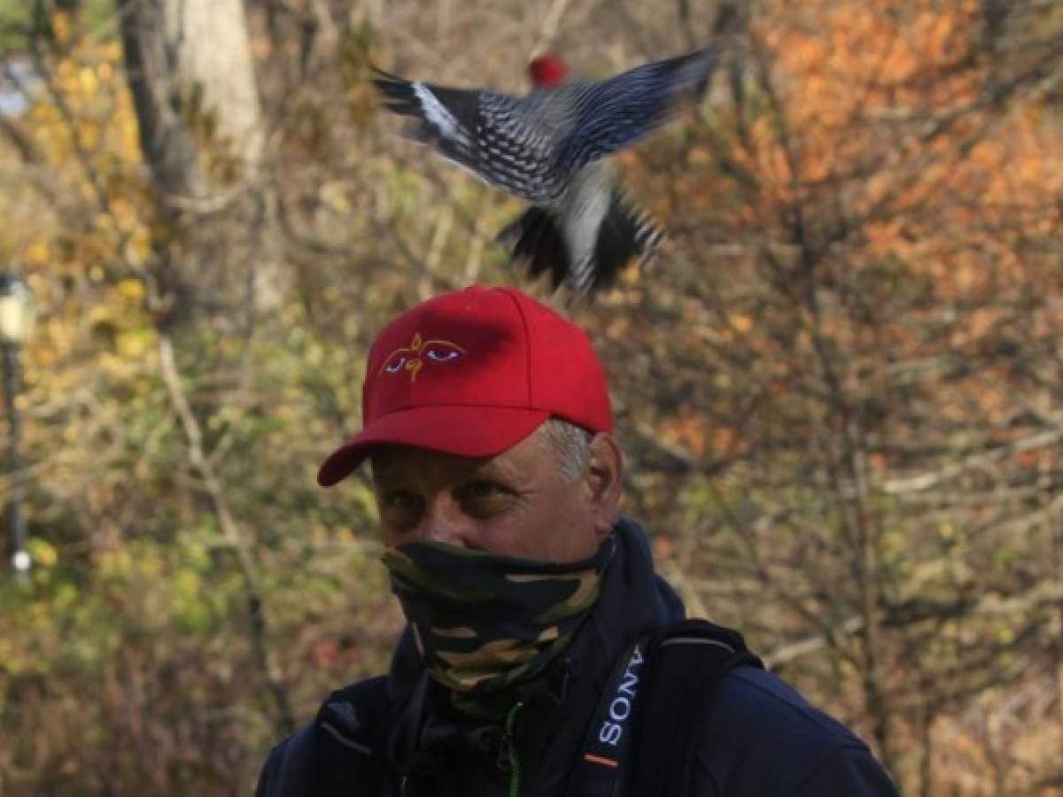 Nuevo hobby anti-covid en Nueva York: Avistar aves en Central Park