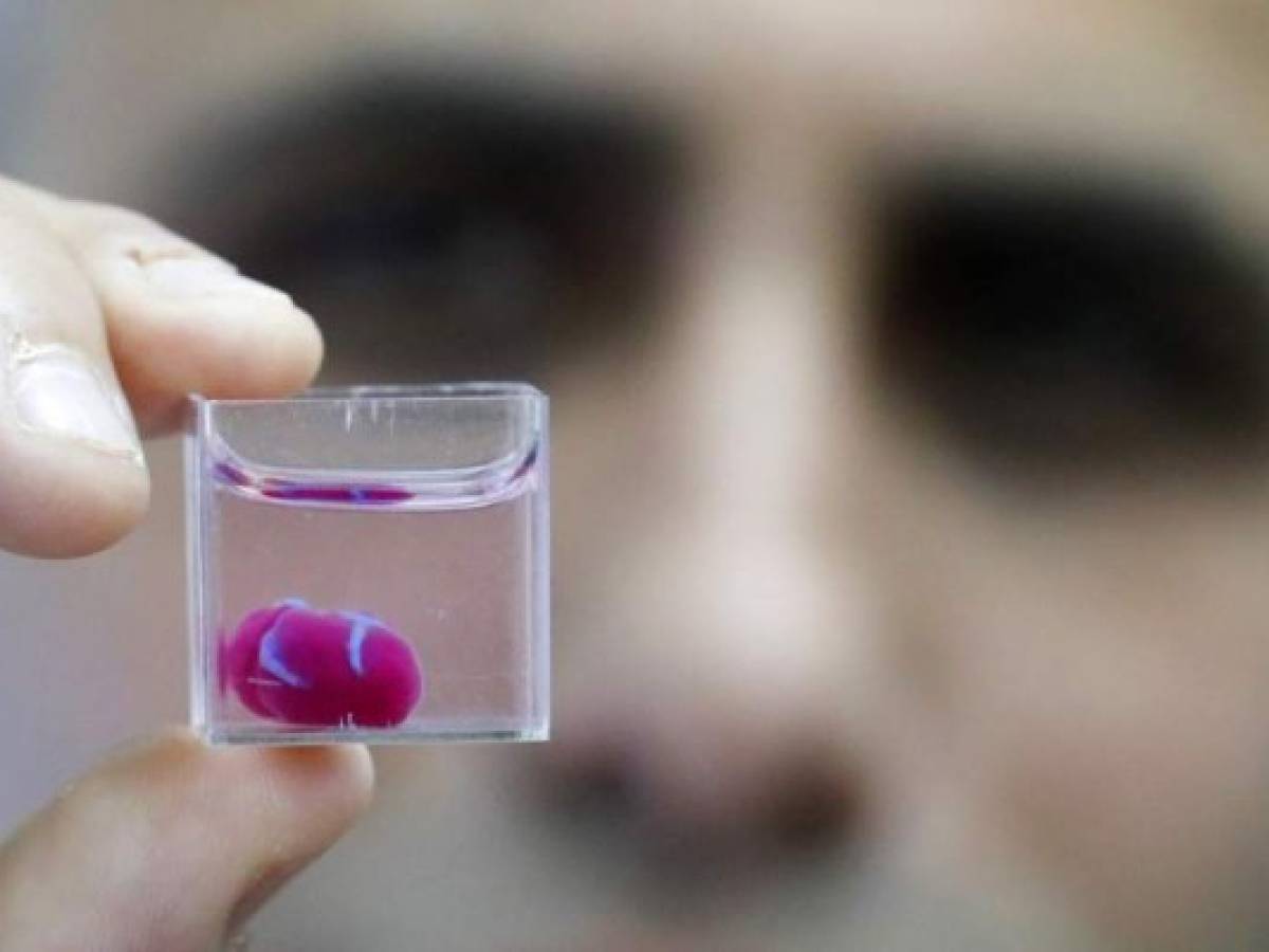 This photo taken on April 15, 2019 at the University of Tel Aviv shows a 3D print of heart with human tissue. - Scientists in Israel on Monday unveiled a 3D print of a heart with human tissue and vessels, calling it a first and a 'major medical breakthrough' that advances possibilities for transplants. (Photo by JACK GUEZ / AFP)