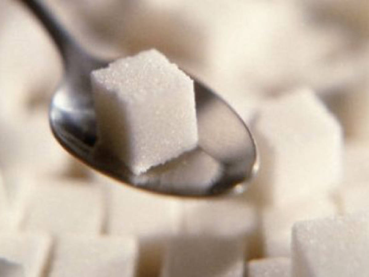 Destacan que el azúcar no es causante de obesidad