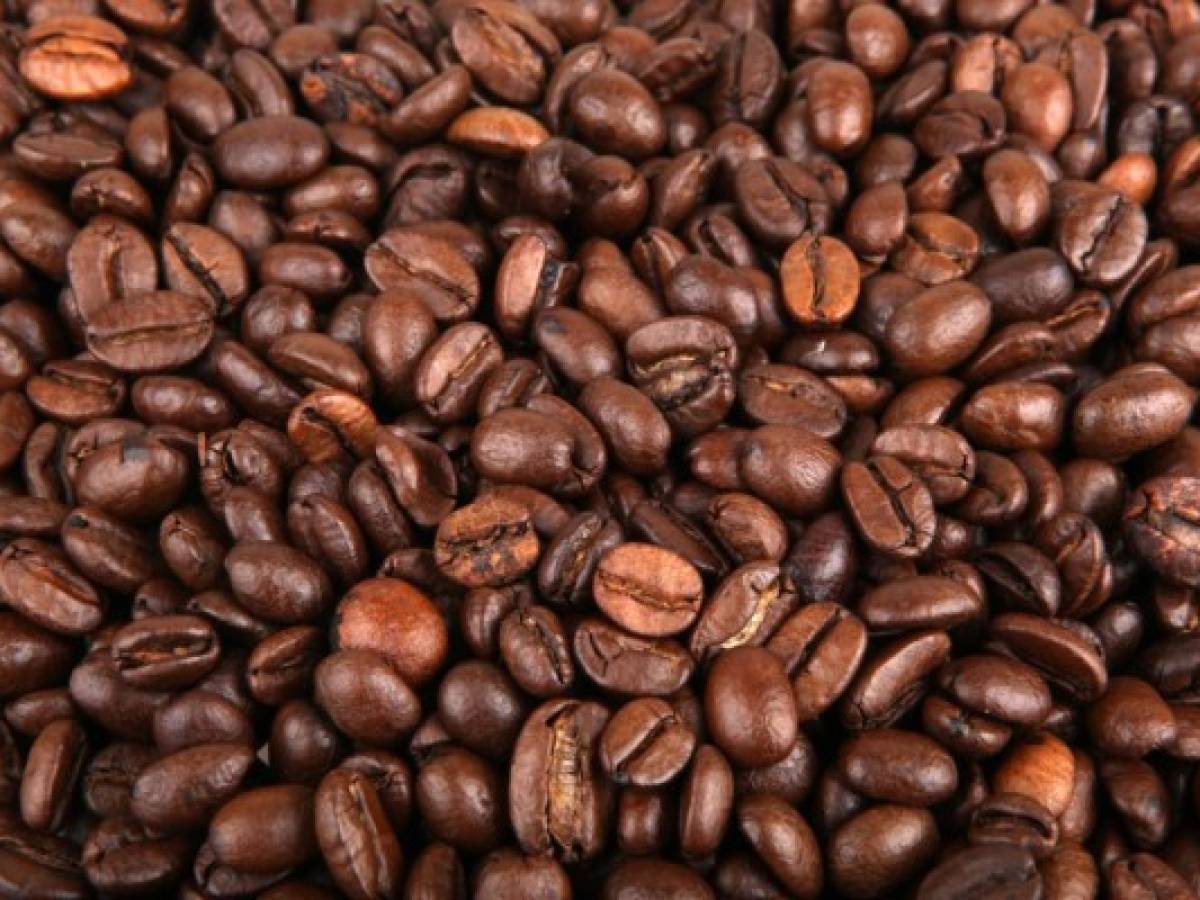 Caen 11% exportaciones de café guatemalteco