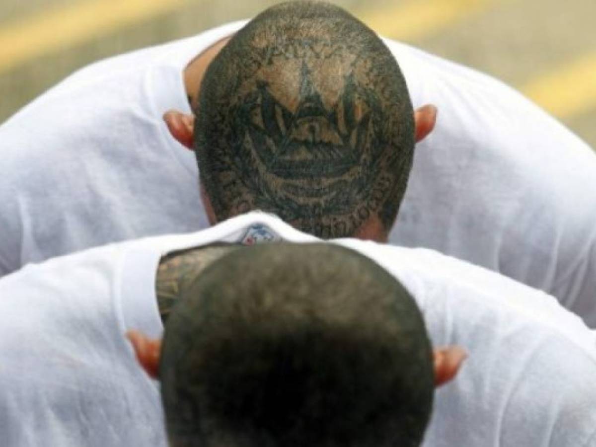 Inmates, members of MS-13 and Barrio 18 gangs, wait upon arrival at the maximum security prison in Zacatecoluca, 65 kilometres east of San Salvador, on August 9, 2017. Forty-eight members of violent gangs arrested in connection with the murders of policemen and soldiers, were transferred on August 9 to Zacatecoluca, the Salvadoran authorities reported. / AFP PHOTO / Marvin RECINOS