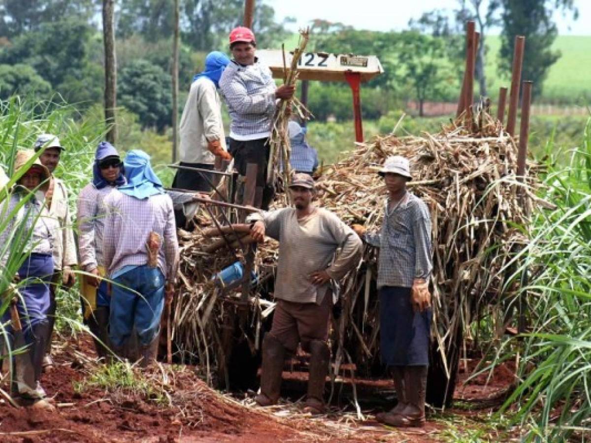 Foto: Estrategia y Negocios