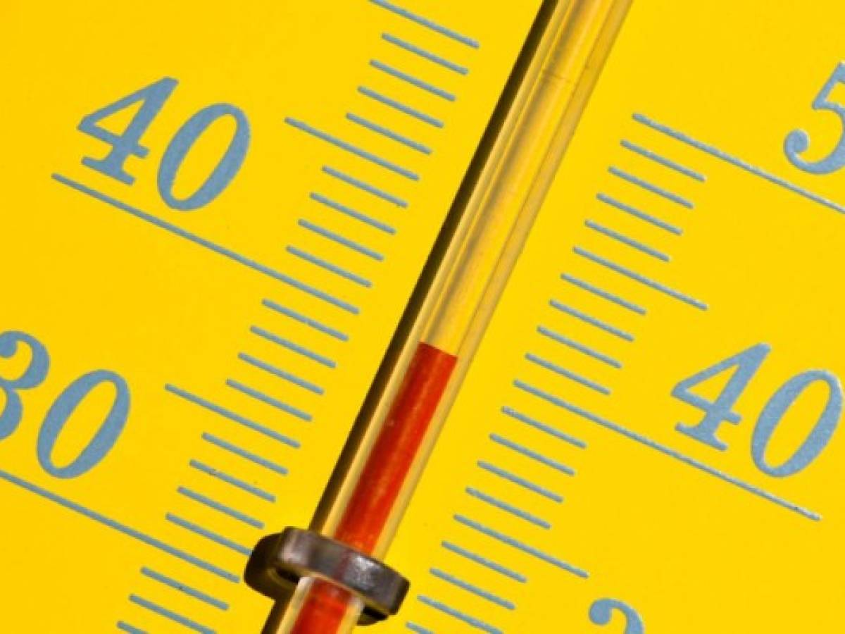 Ola de calor deja nuevos récords de temperatura en Europa