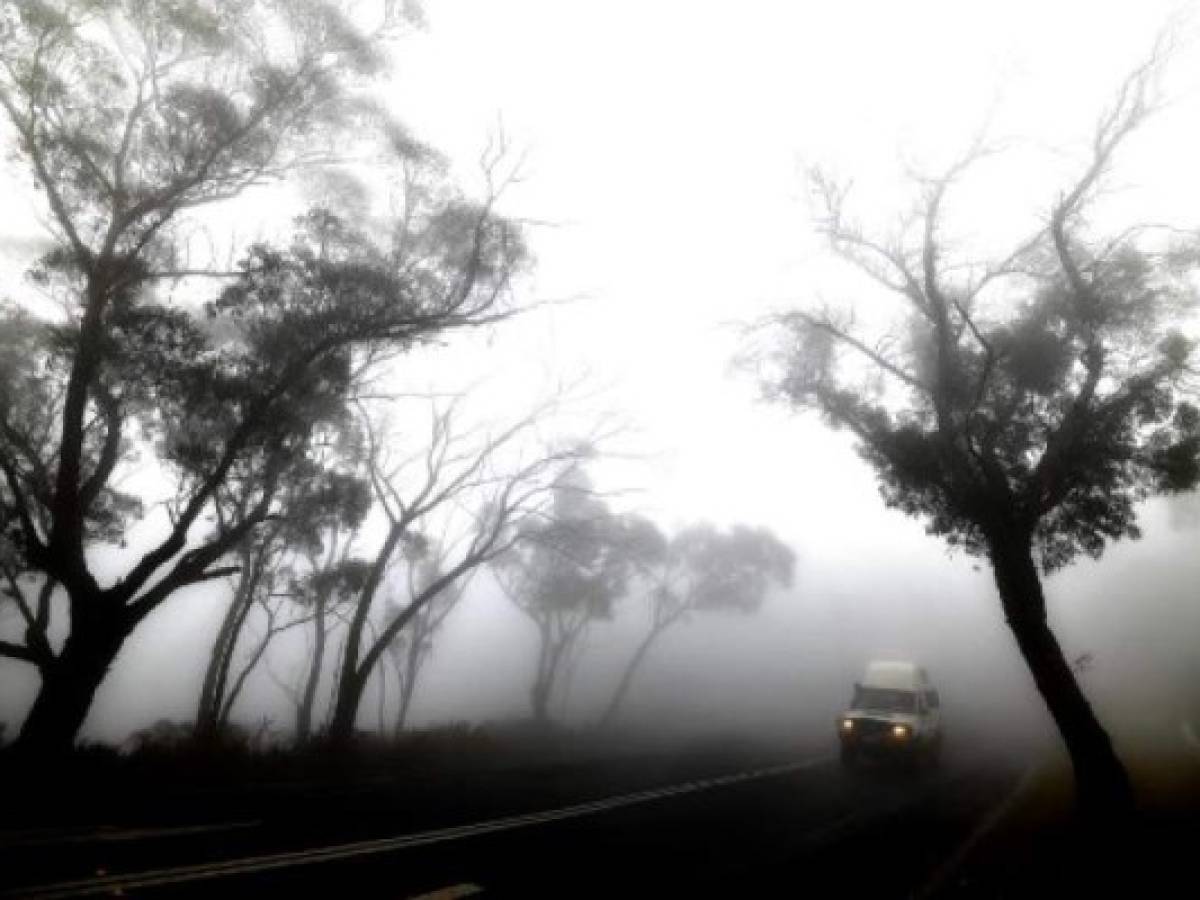 A car makes its way through thick fog mixed with bushfire smoke in the Ruined Castle area of the Blue Mountains, some 75 kilometres from Sydney, on January 11, 2020. - Massive bushfires in southeastern Australia have a 'long way to go', authorities have warned, even as colder conditions brought some relief to exhausted firefighter and communities. (Photo by SAEED KHAN / AFP)