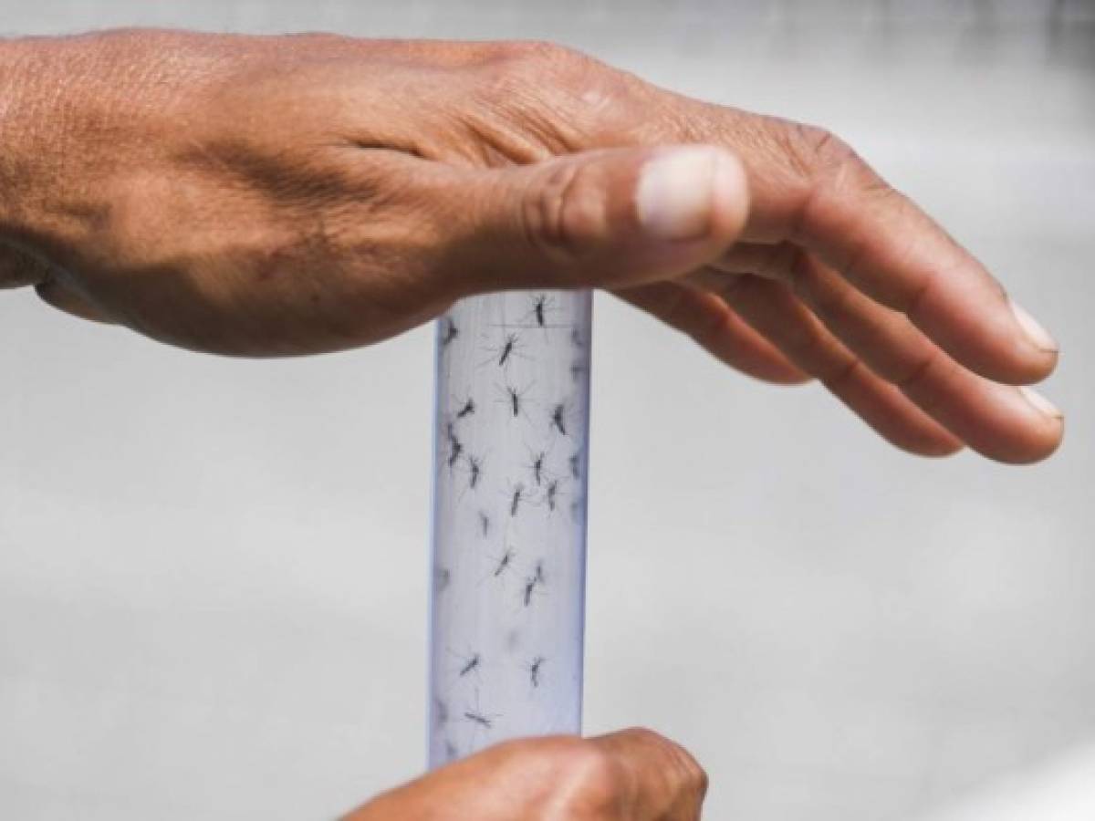 Honduras declara emergencia por dengue que deja 44 muertos en el año