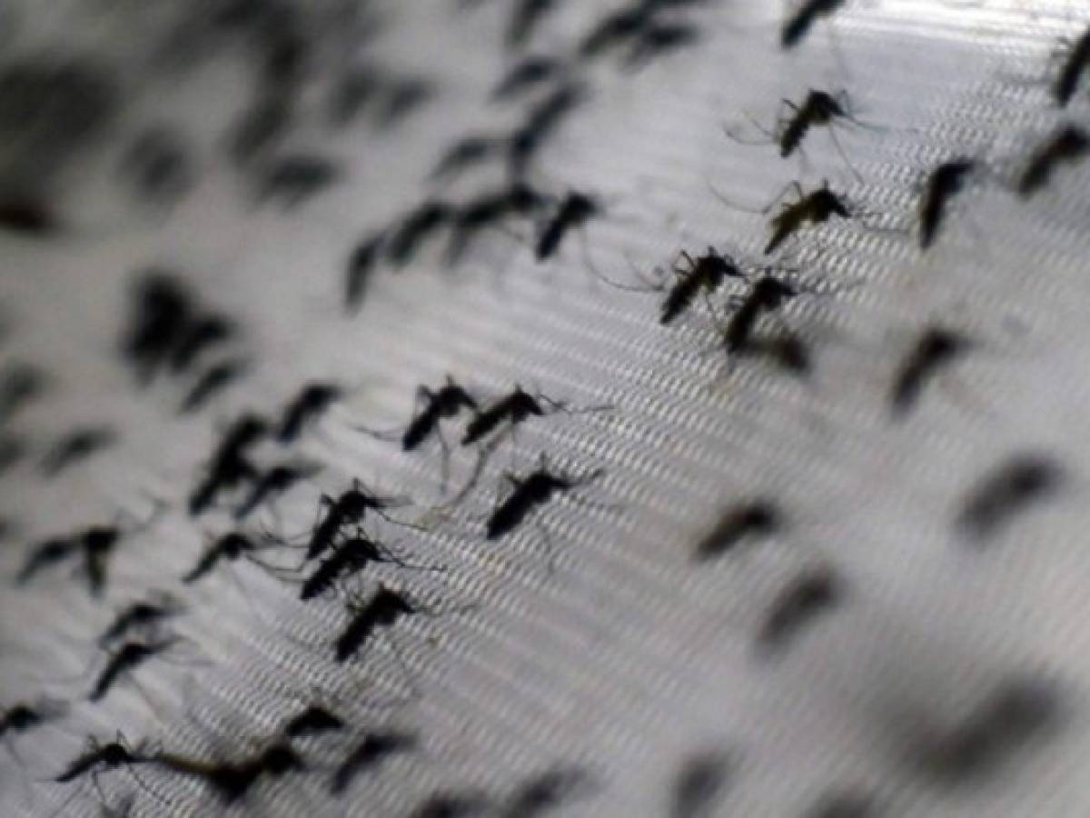 México aprueba la primera vacuna contra el dengue en el mundo