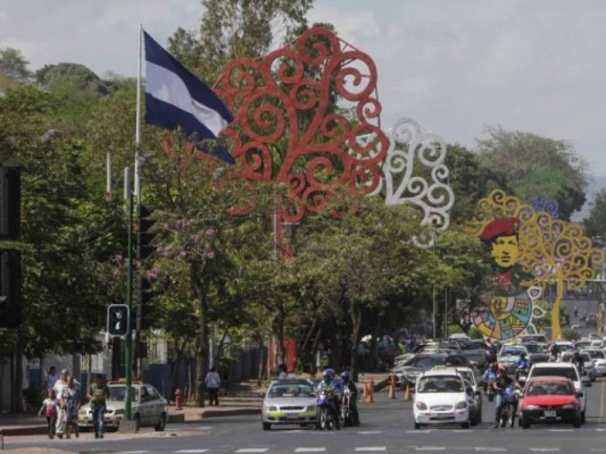 Se estima que hay 150 árboles de la vida en Managua.