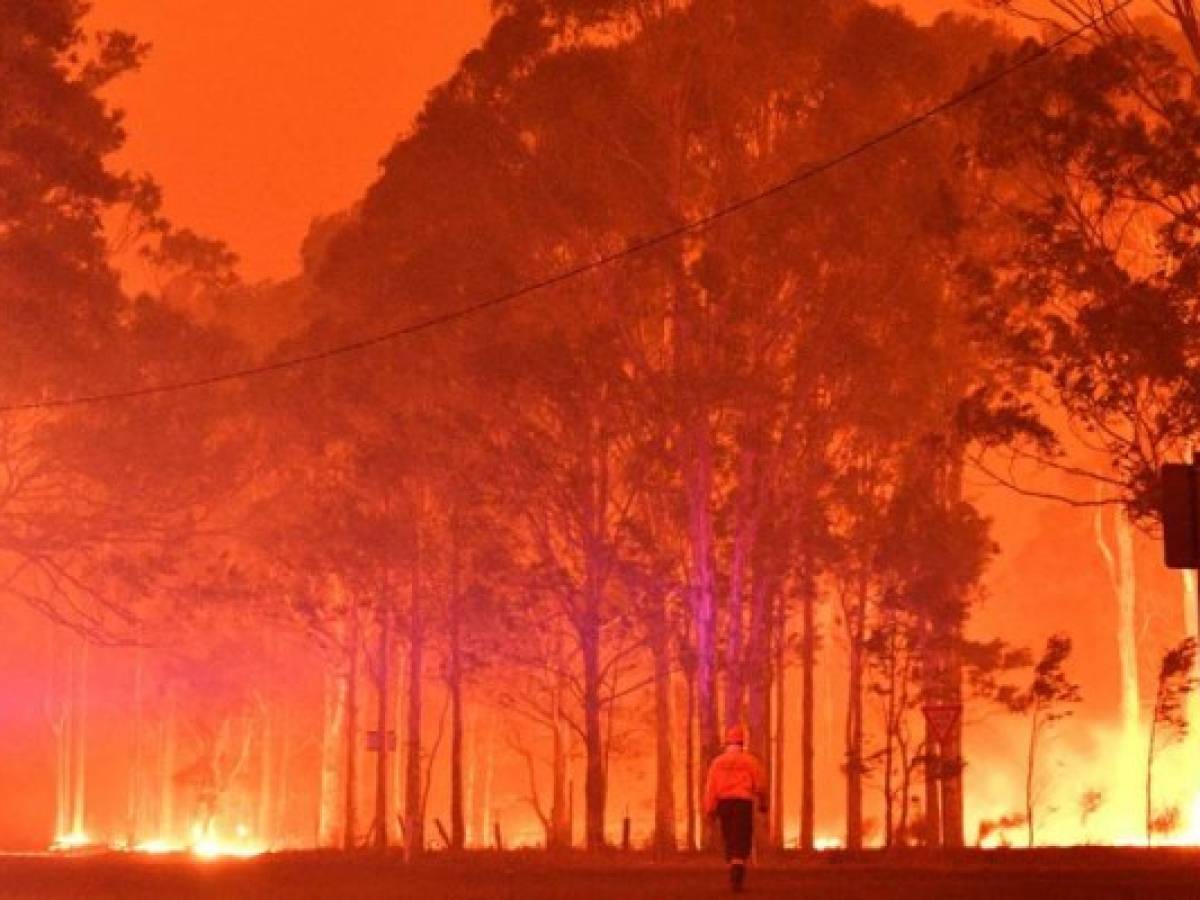 A firefighter walks past burning trees during a battle against bushfires around the town of Nowra in the Australian state of New South Wales on December 31, 2019. - Thousands of holidaymakers and locals were forced to flee to beaches in fire-ravaged southeast Australia on December 31, as blazes ripped through popular tourist areas leaving no escape by land. (Photo by SAEED KHAN / AFP)