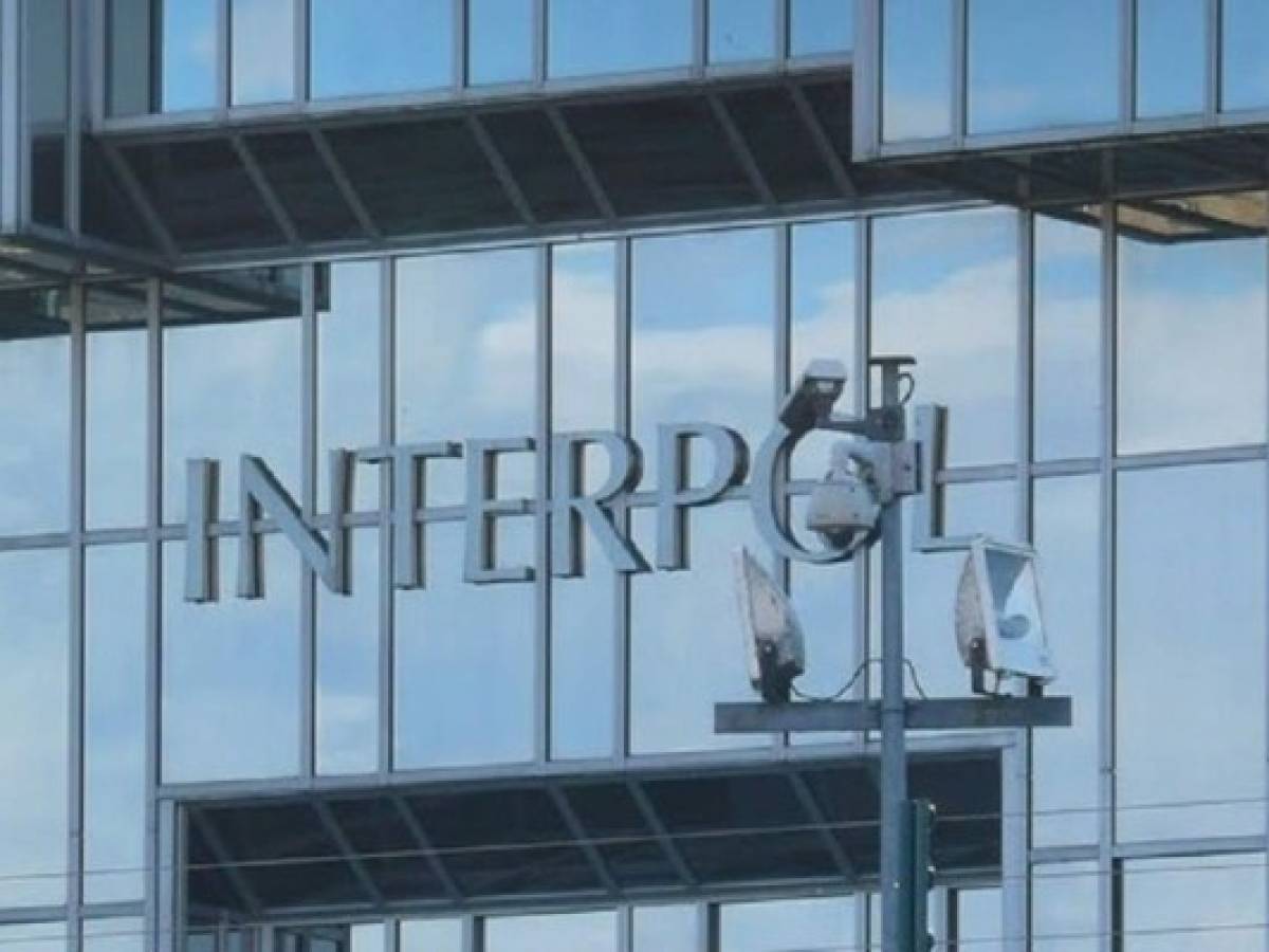 Golpe de Interpol contra falsificaciones en Latinoamérica  