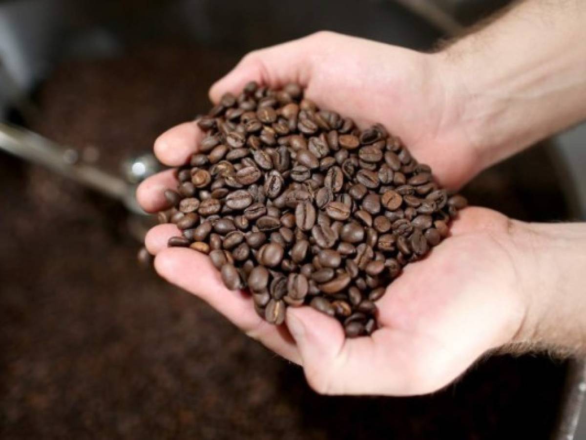 Precio mundial del café toca nivel más bajo desde 2006