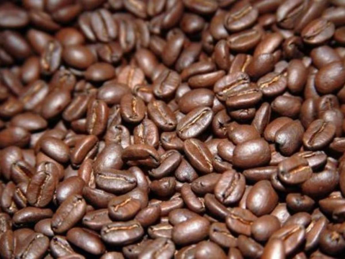 Honduras: exportación de café generó US$793,7 millones