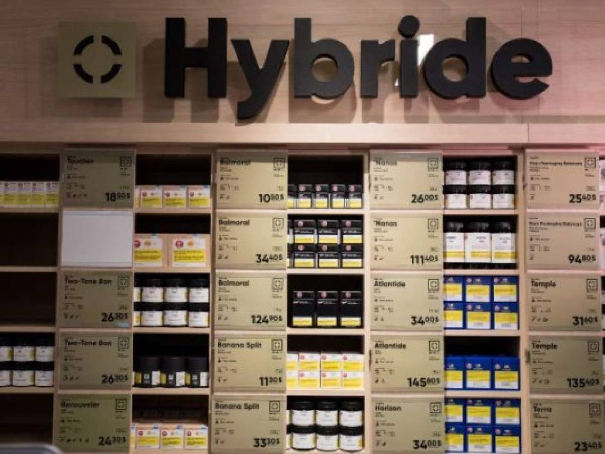 El gobierno permitió a cada provincia organizar el comercio de la hierba, por lo que hay distintos modelos en todo el país para un mercado valorado en unos US$4.600 millones por año. El gobierno permitió a cada provincia organizar el comercio de la hierba, por lo que hay distintos modelos en todo el país para un mercado valorado en unos US$4.600 millones por año.