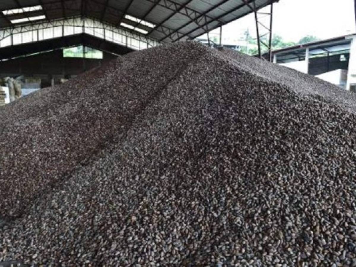 Nicaragua busca exportar frijoles negros a Costa Rica