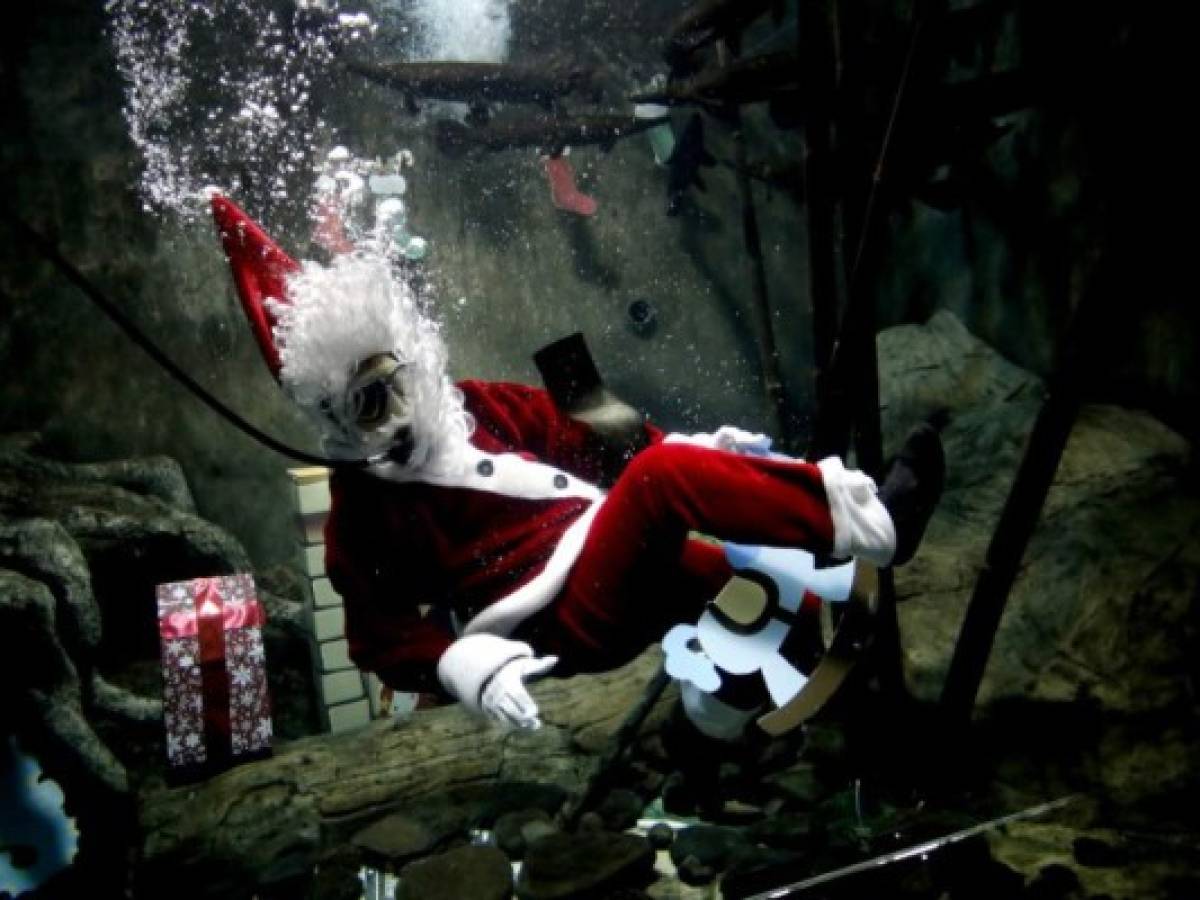 Santa Claus extremo recibe cartas bajo el agua de acuario de Guadalajara