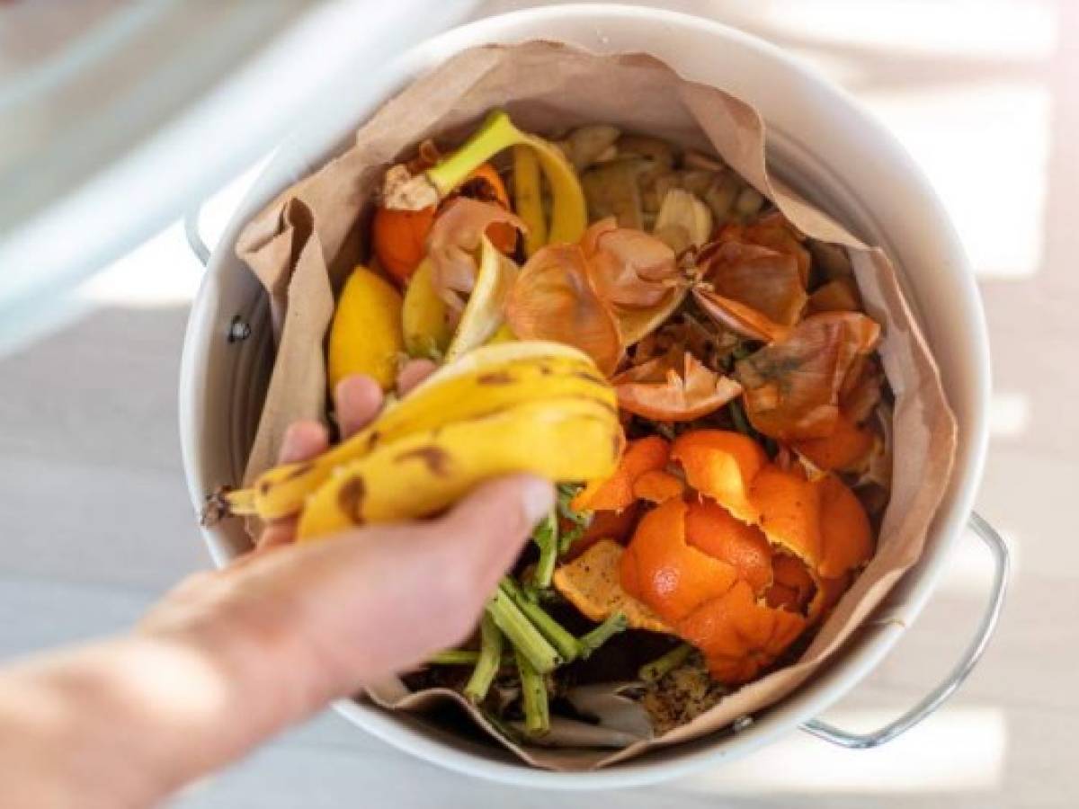 Overhead view of fruit and vegetable scraps in a white container, ready to go in the compost