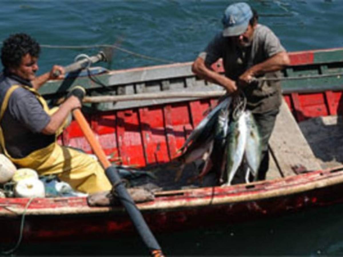 FAO aprueba directrices a favor de pesca artesanal  