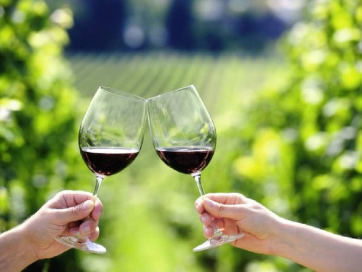 Una bodega argentina anunció lanzamiento de criptomoneda basada en el valor del vino