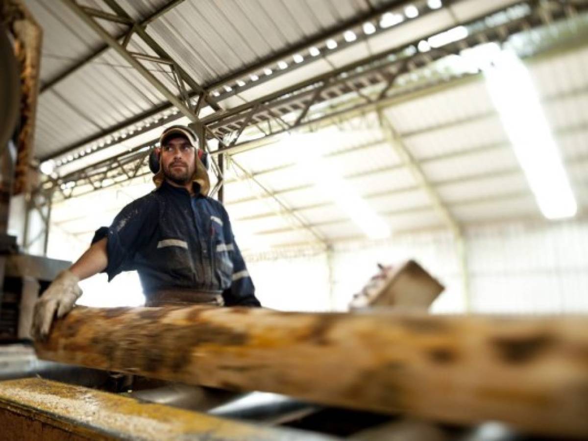 Región aumenta su interés por madera chilena