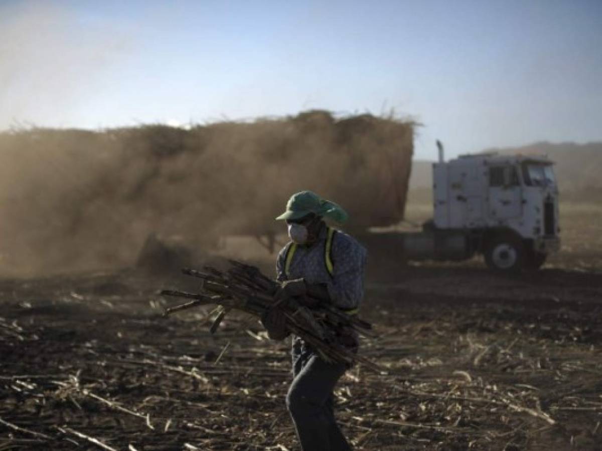 El Salvador tendrá una zafra azucarera de 17 millones de quintales