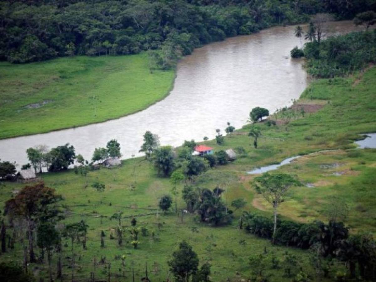 (FILES) This aerial file photo taken on October 24, 2010 shows the San Juan River, natural border between Costa Rica (R) and Nicaragua (L). The UN's highest court on February 2, 2018 ordered Nicaragua to pay less than $380,000 to Costa Rica in compensation for damaging protected wetlands on the river San Juan. The sum was well below the $6.7 million demanded by Costa Rica for the environmental harm done to the area, and to compensate its efforts to restore it. / AFP PHOTO / Yuri CORTEZ