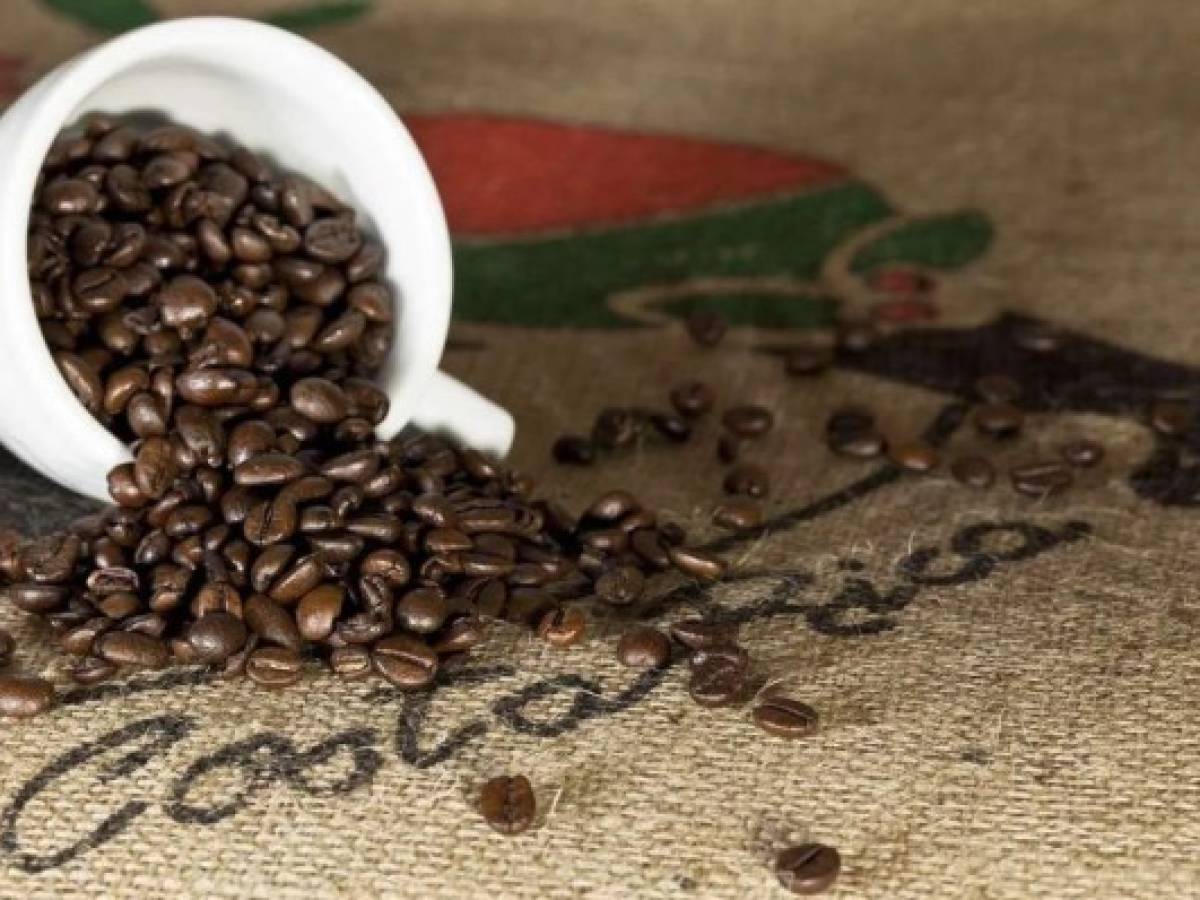 El 22% del café de Costa Rica es bajo en emisiones y se produce de manera sostenible