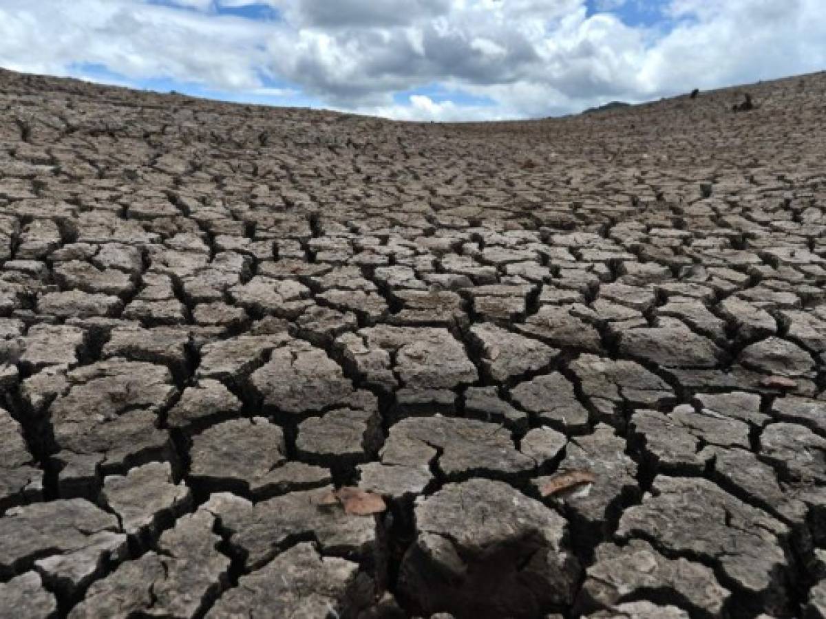 Honduras enfrenta la peor sequía en décadas