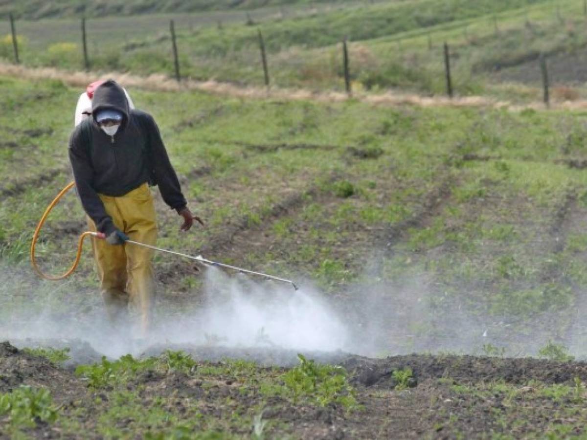 Guatemala: Contrabando de agroquímicos genera pérdidas por US$56 millones