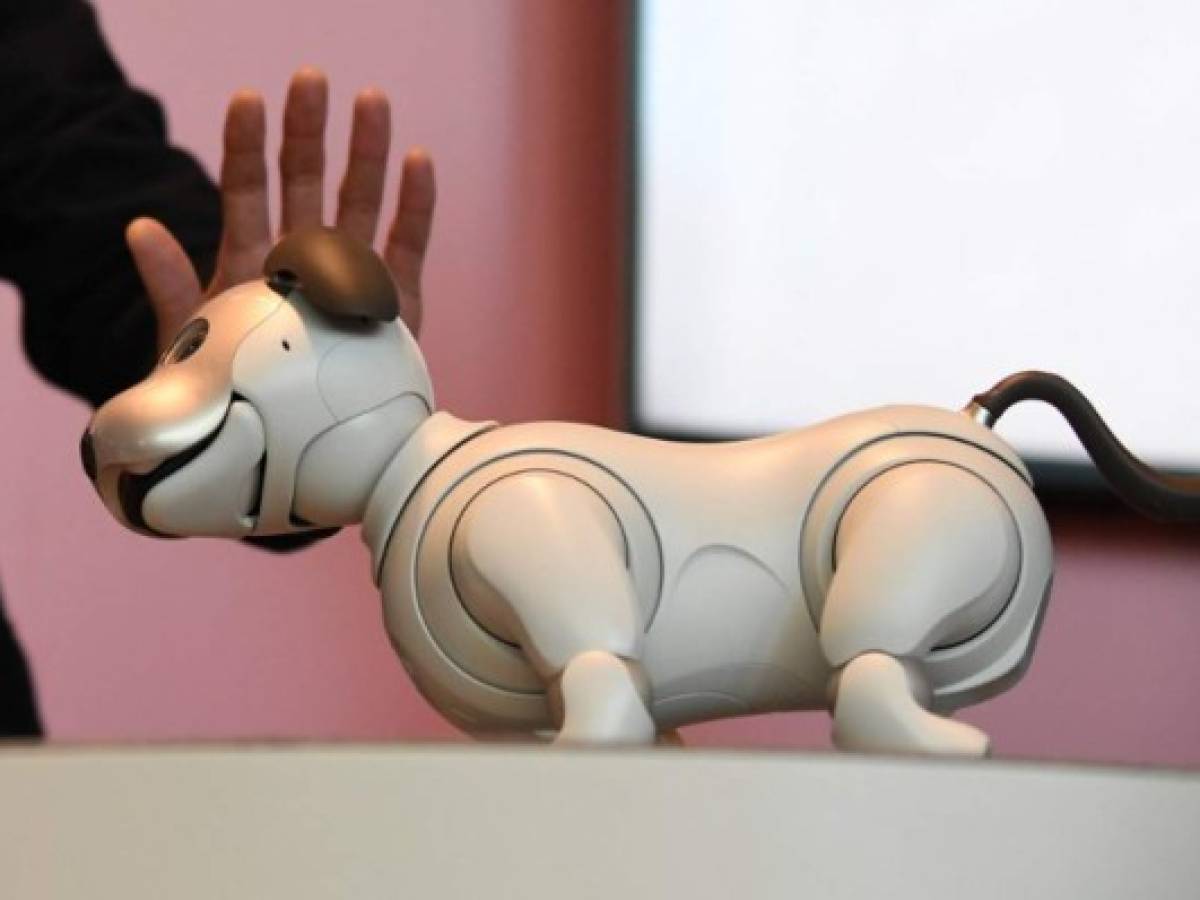 Sony celebra el exitoso regreso de Aibo, su perro robot