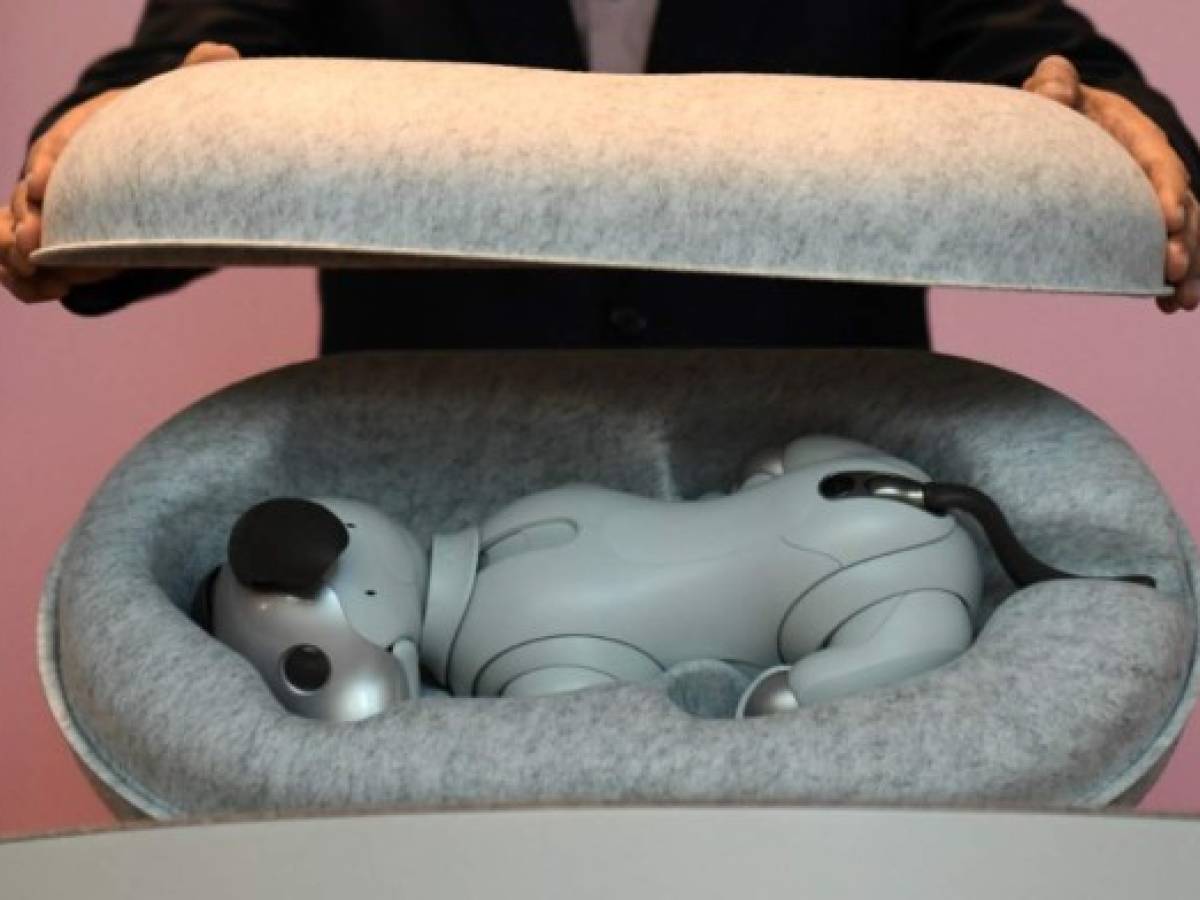 Aibo, una actualización del pionero perro-robot que Sony lanzó al mercado en 1999, mantiene el nombre de su predecesor, pero incorpora los últimos avances de la robótica, incluyendo varios sensores, una cámara situada en su nariz y ojos tipo led. / AFP PHOTO / Kazuhiro NOGI
