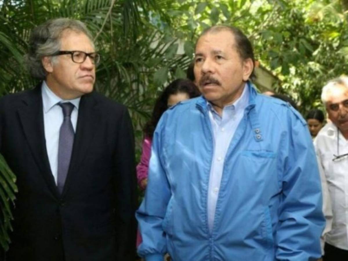 Nicaragua: OEA vino en 2012, observó y nada cambió
