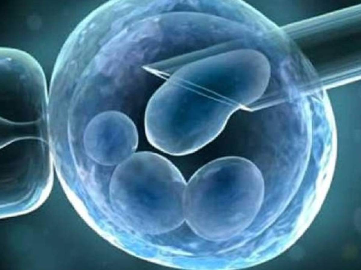 Polémico: investigadores chinos modificaron ADN en embriones humanos