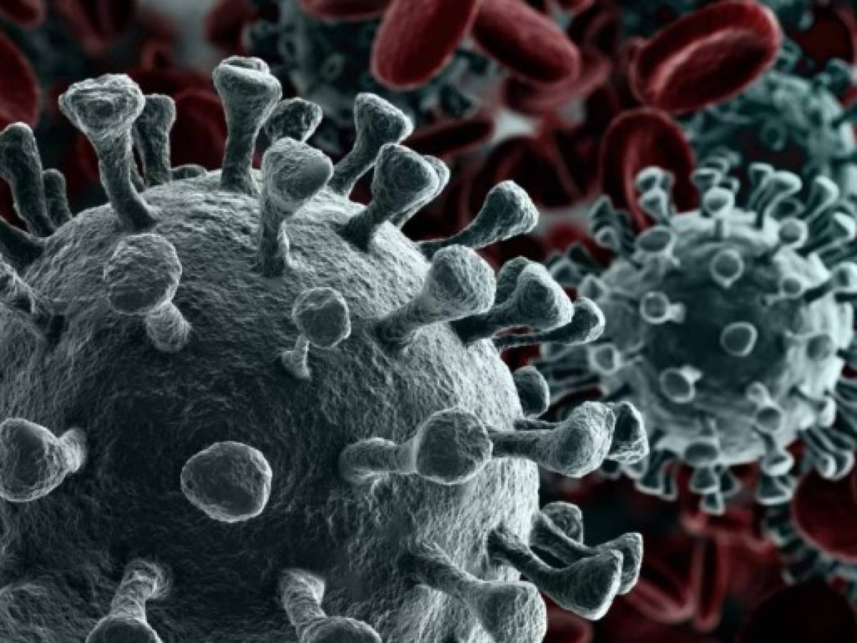 Fundación Gates dona US$100 millones para combatir al coronavirus