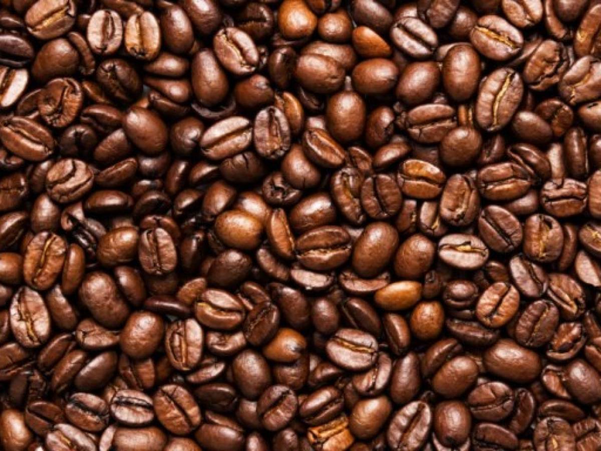 Honduras: Quinto mayor exportador de café del mundo