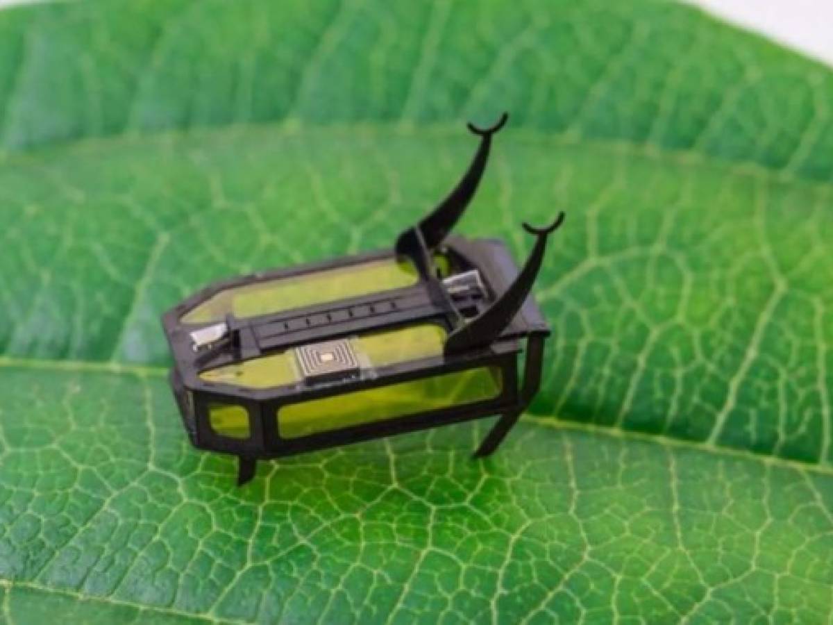 Científicos crean robot del tamaño de un escarabajo movido por metanol