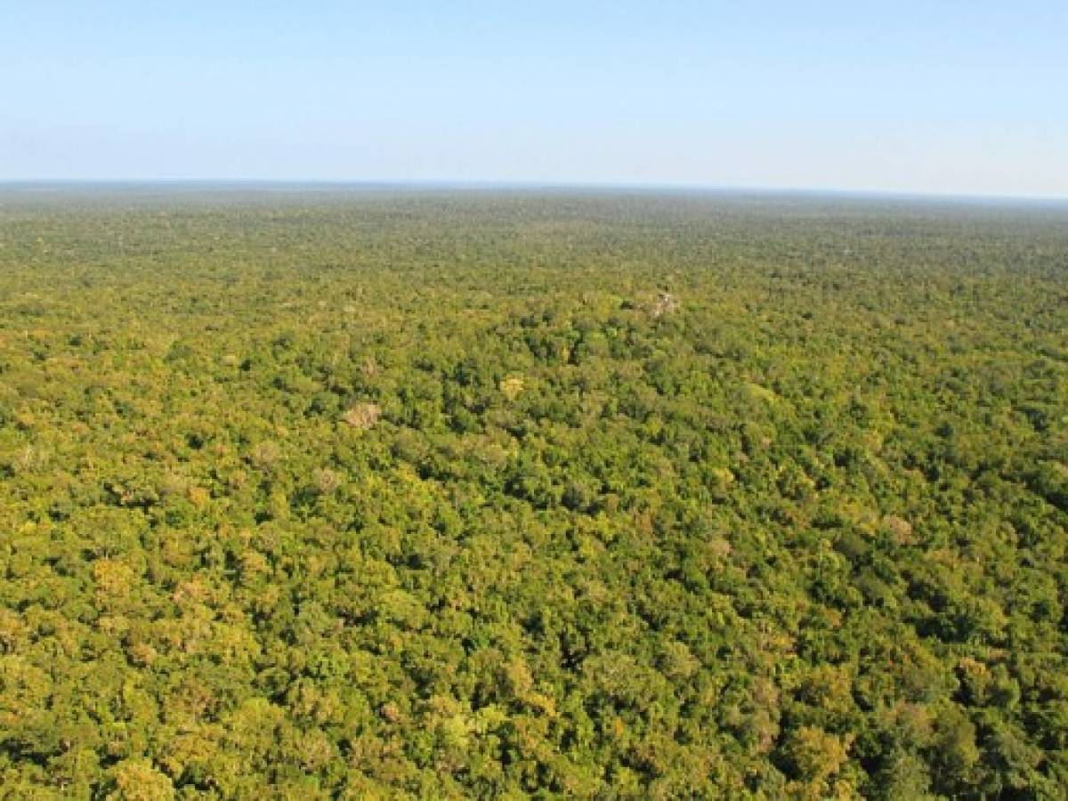 Guatemala, México y Belice tras conservación de Selva Maya
