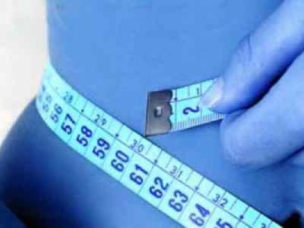 Experimentos sugieren que Viagra podría reducir la obesidad