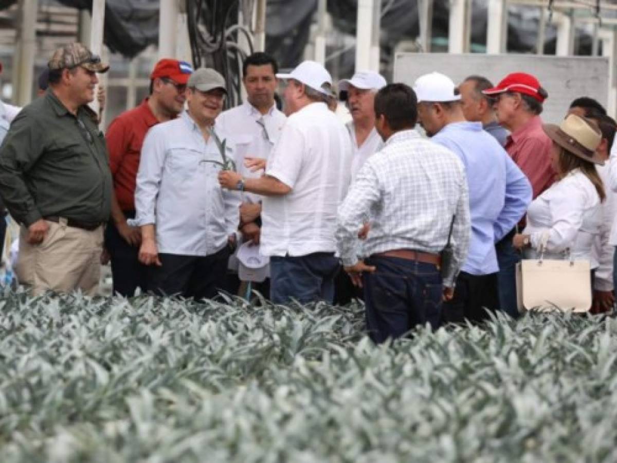 Presidente de Honduras visita México en busca de variedades de café