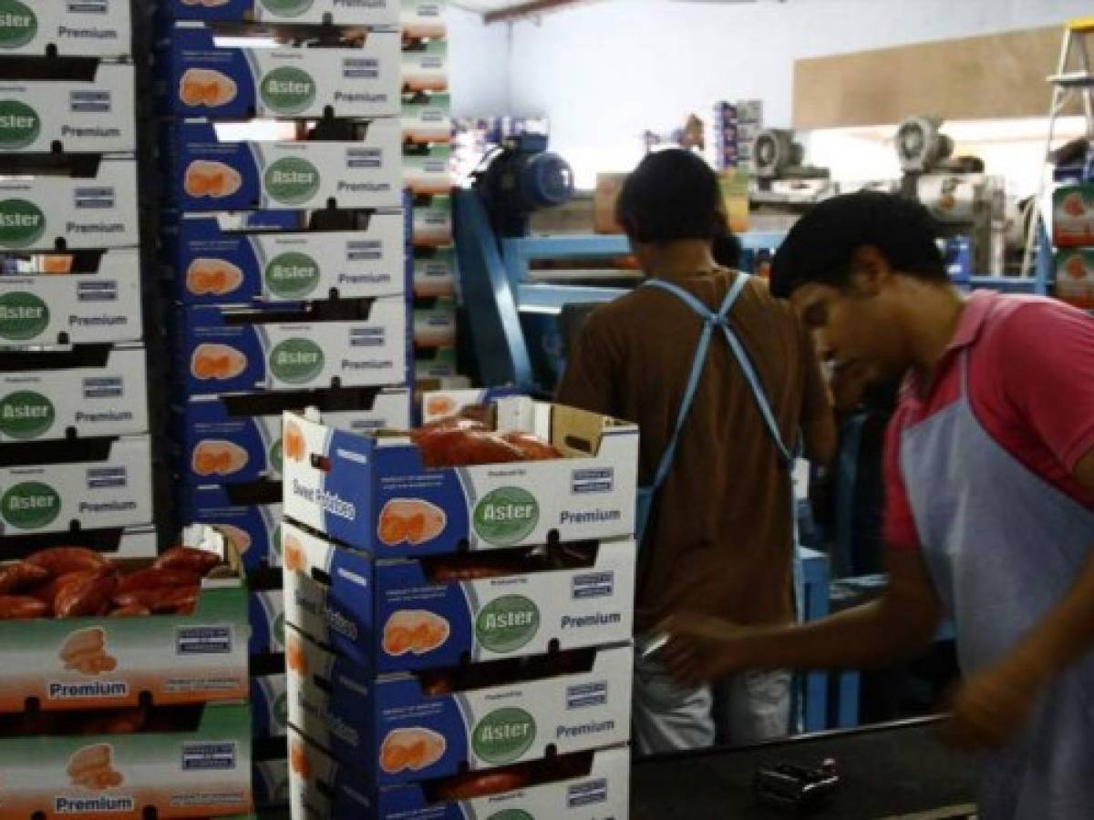 Supermercado de Kuwait quiere productos hondureños