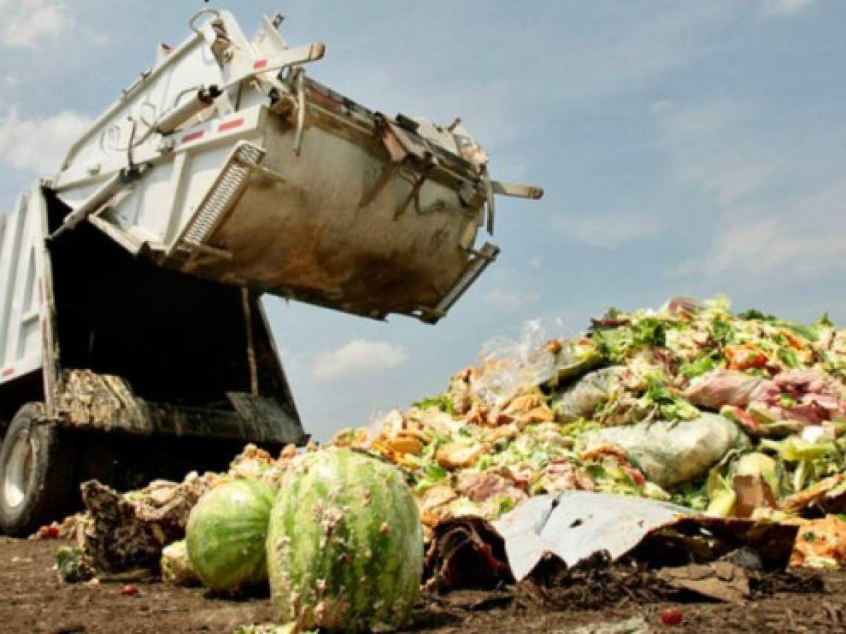 Latinoamérica desperdicia 348.000 toneladas de alimentos cada año