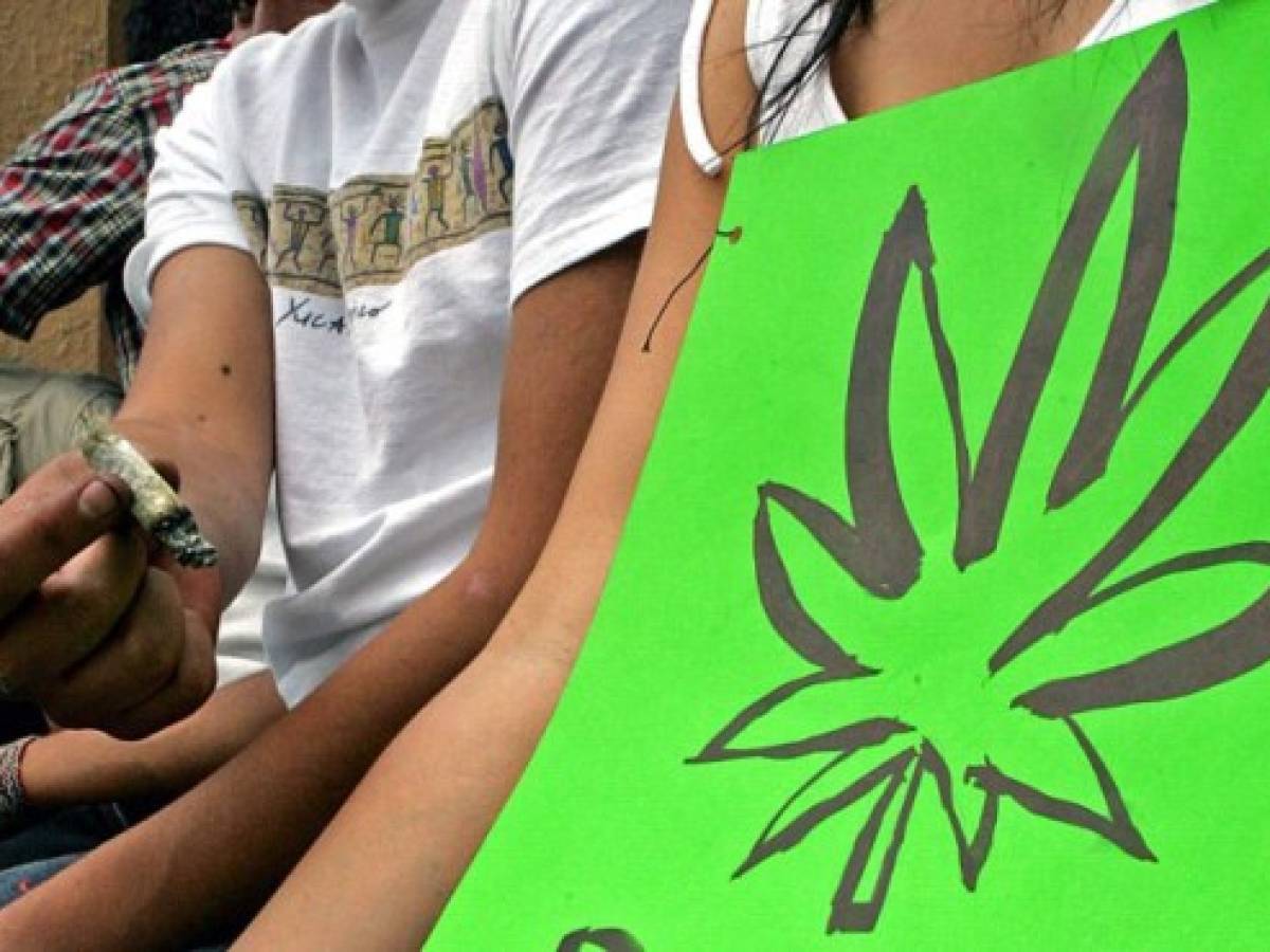 Canadá legaliza consumir y cultivar marihuana
