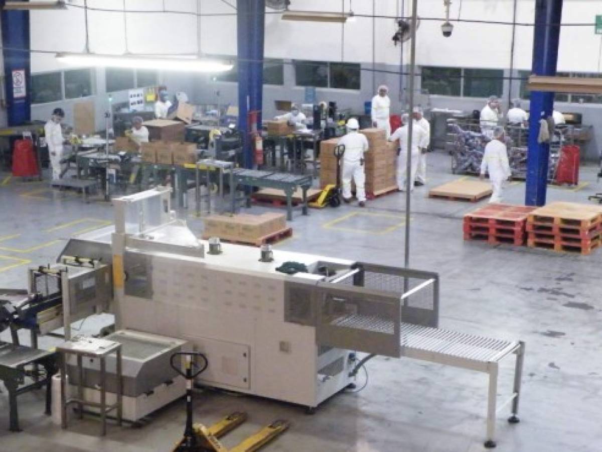 Nicaragua: Nestlé invierte más de US$6 millones en su fábrica en Matagalpa