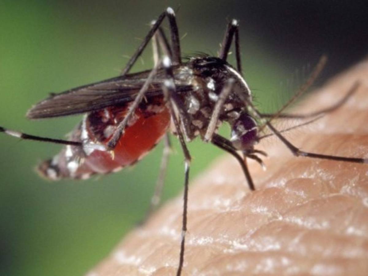 IBM ofrece apoyo tecnológico en la lucha contra el Zika