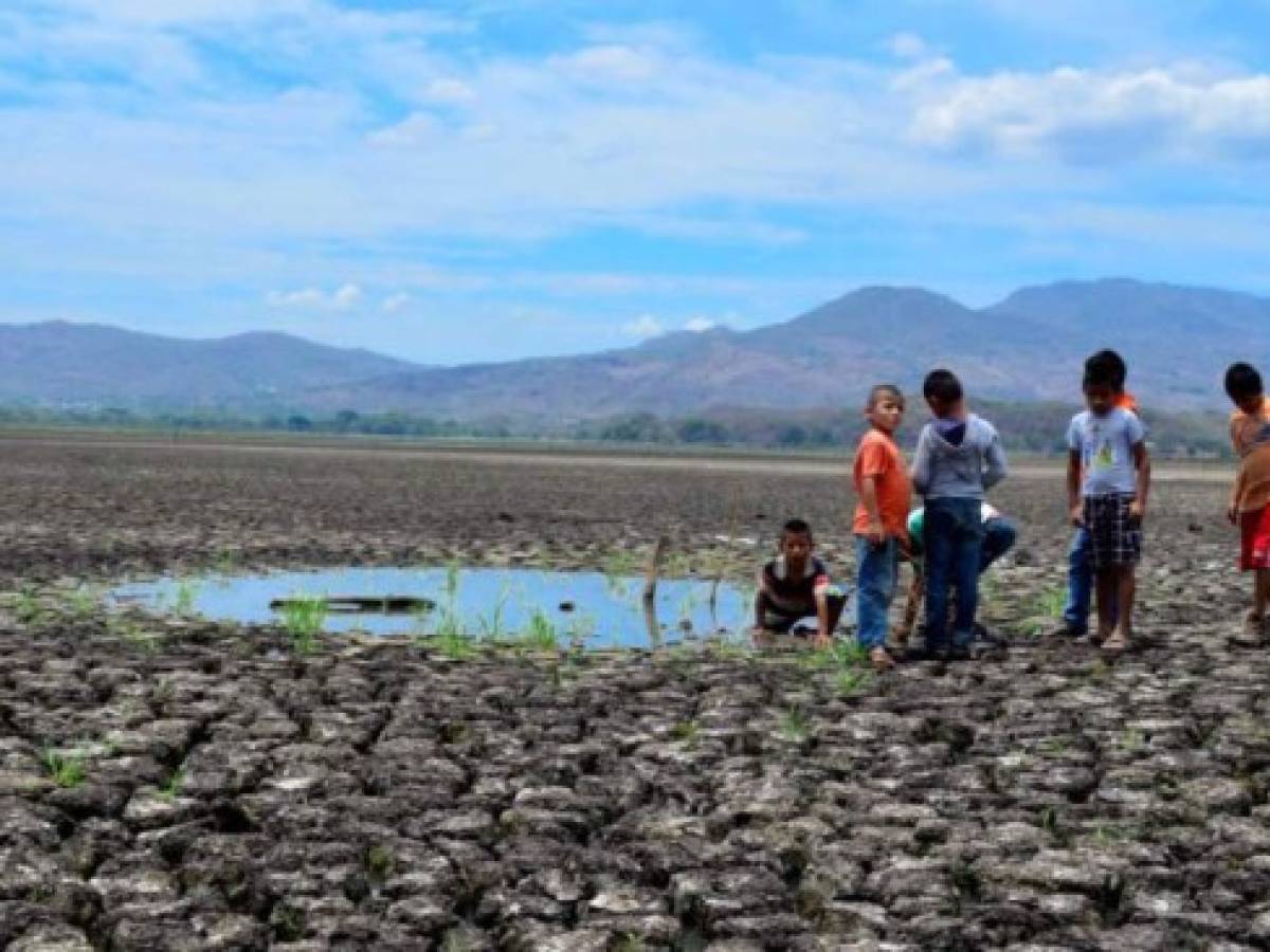 Cambio climático hace estragos en corredor seco de Centroamérica