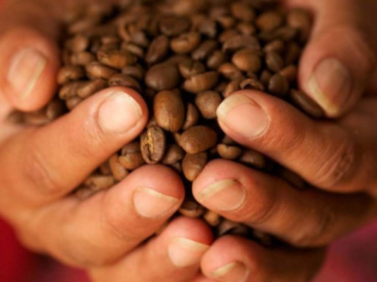 Cambio climático podría amenazar abastecimiento mundial de café
