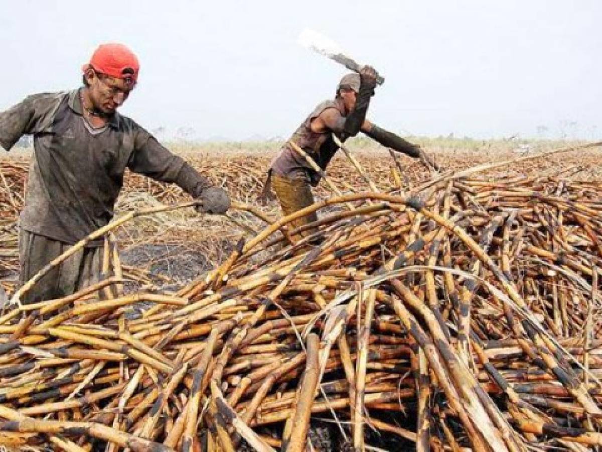 El Salvador: Sector azucarero enfrentará pérdida de US$70 millones El Salvador: Sector azucarero enfrentará pérdida de US$70 millones