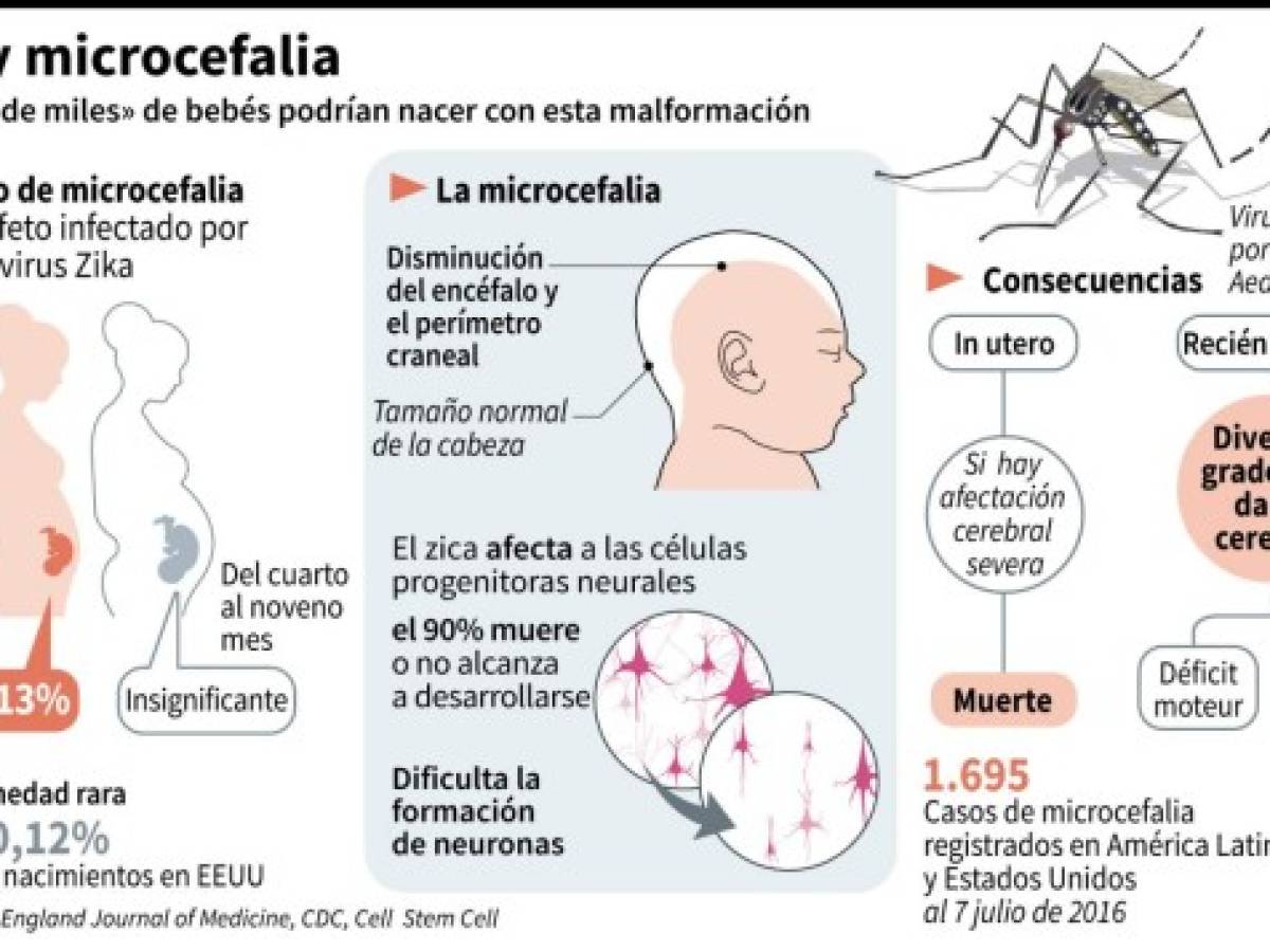 Virus del Zika puede replicarse en el tracto vaginal, dice estudio